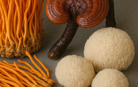 Waarom functionele paddenstoelen zo populair zijn